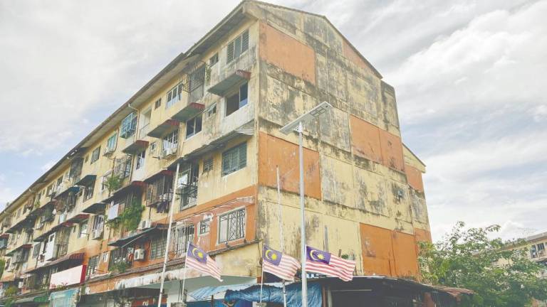 Kuan said Malaysia’s tropical climate makes moisture control a constant challenge and creates ideal conditions for mould growth. – Amirul Syafiq/theSun