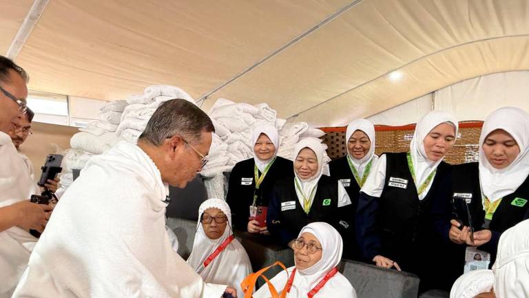 BERNAMApix