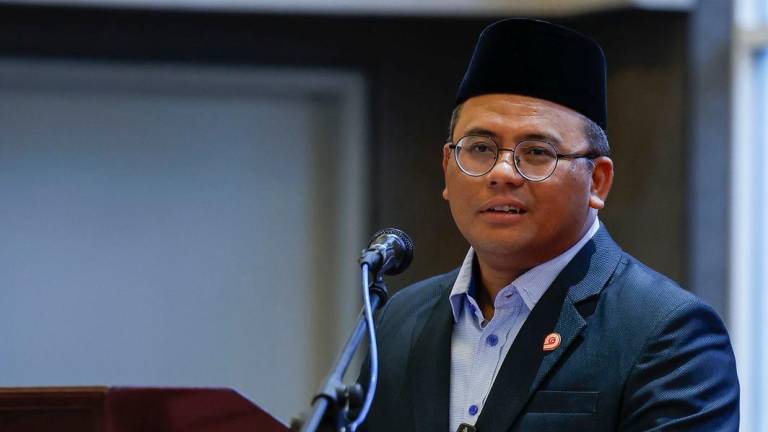 BERNAMAPIX