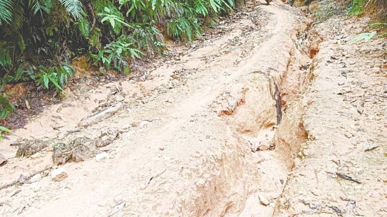 Many aid programmes for the Orang Asli villagers are hampered due to poor road conditions and the weather. – Pic courtesy of Kamal Alek