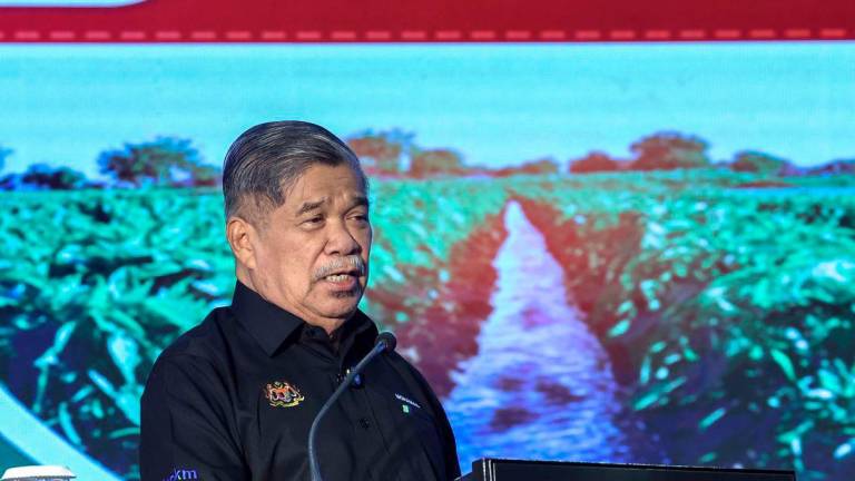 Minister of Agriculture and Food Security Datuk Seri Mohamad Sabu - Photo by BERNAMA