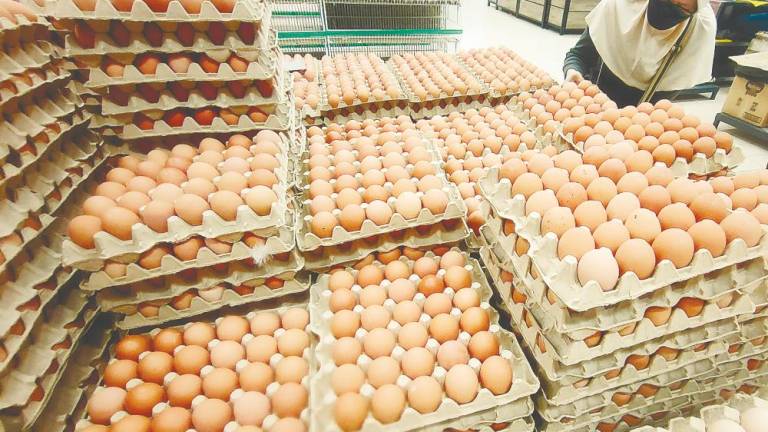 Mohamad said the decision to end the egg subsidy is being considered based on the success of ending the chicken subsidy. – SYED AZAHAR SYED OSMAN/THESUN