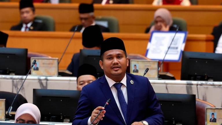 BERNAMApix