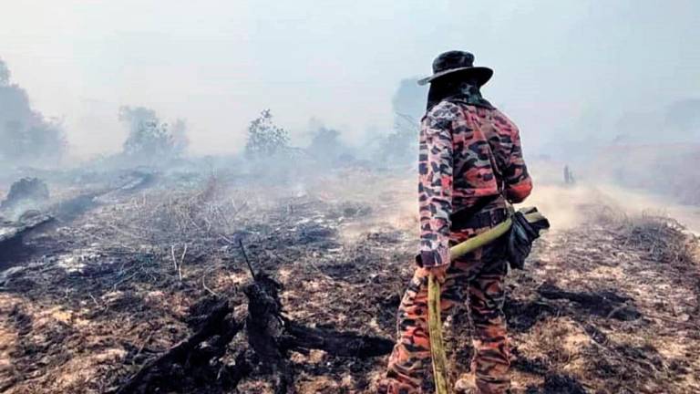 A firefighter dousing underground peatland fires at Marudi district in northern Sarawak. – JOSEPH PETER/THESUN