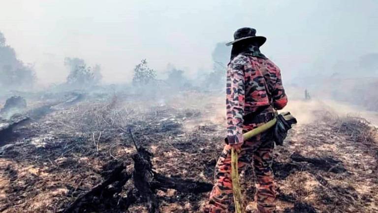 Wildfires raging in a huge plantation that had spread into forests and peatlands in Marudi district in northern Sarawak. - Joseph Peter/theSun