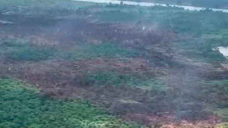 Heavy rain brought huge relief after heavy downpour today in Marudi where wildfires raged for nine days. - Pic courtesy Sarawak Fire and Rescue Department