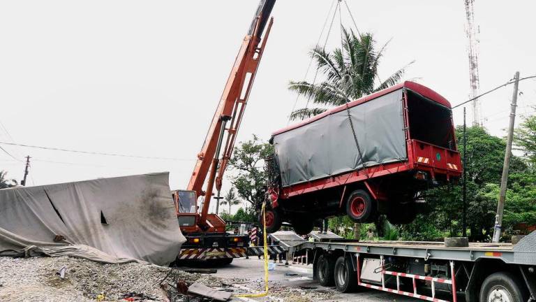 Bernamapix