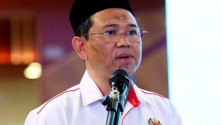 Bernamapix