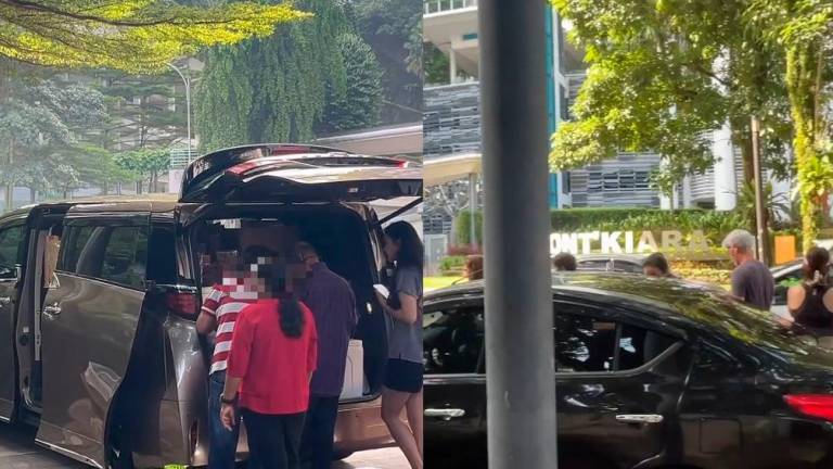 “RM500,000+ car selling strawberries” - Toyoto Alphard goes viral after allegedly selling strawberries from car boot in Mont Kiara