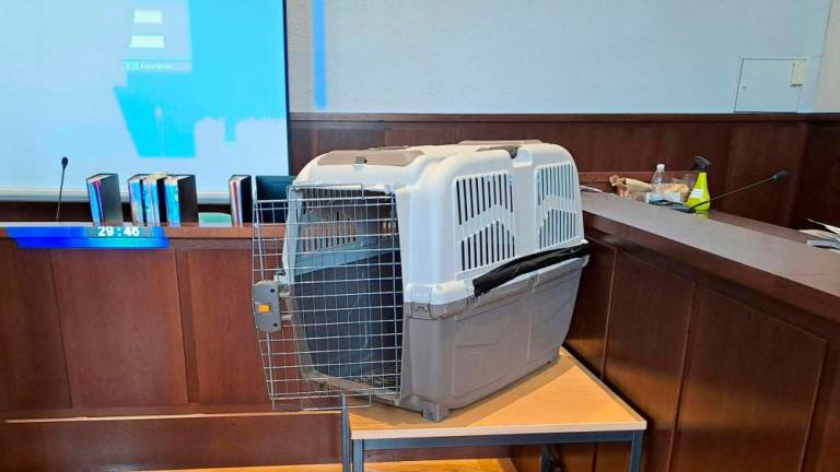 This photo taken on February 26, 2024 at the regional court in Krems, Lower Austria shows a dog crate displayed at a courtroom at the start of a three-day jury trial over a mother who had locked her then 12-year-old son in a small dog crate and almost tortured him to death/AFPPix