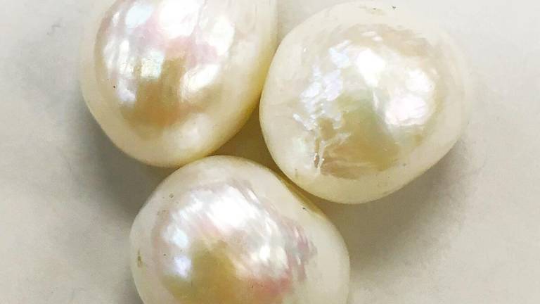 Pearls don’t form overnight; it is the same with us. The process is slow and it often feels like nothing is happening but beneath the surface, something is. – WIKIMEDIAPIC