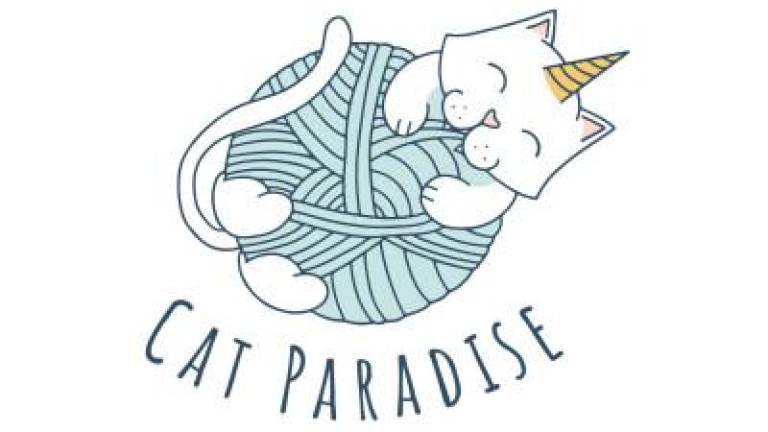 Cat Paradise Hotel Launches Cat Sitting Service Amid Rescue Milestone