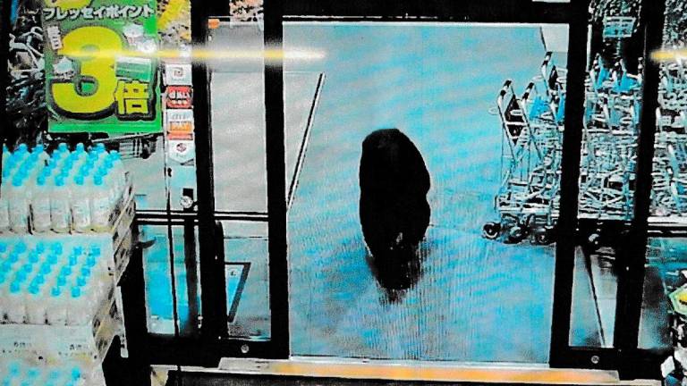 CCTV camera footage of a bear walking inside a supermarket in Numata, Gunma prefecture. - AFP PHOTO / GUNMA PREFECTURAL POLICE VIA JIJI PRESS