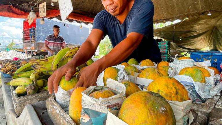 The risk to consumers is heightened by the fact that the general public is unable to tell the difference between naturally ripened fruits and those exposed to carbide gas. – ADIB RAWI YAHYA/THESUN