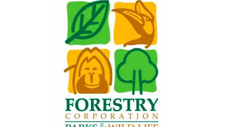Sarawak Forestry Corporation (SFC) Facebook