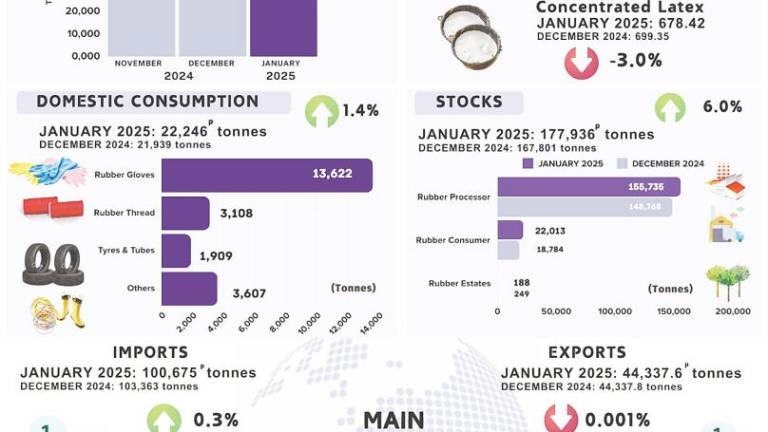 Natural rubber production decreased 20.8% in January