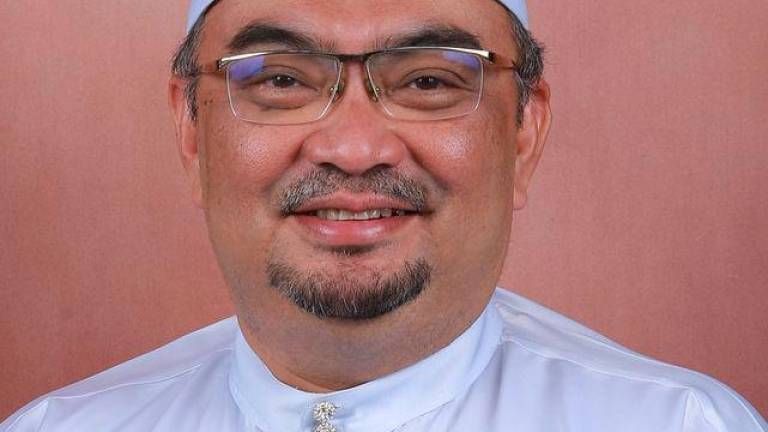 BERNAMAPIX