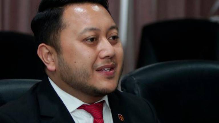 BERNAMAPIX