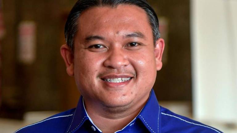BERNAMAPIX