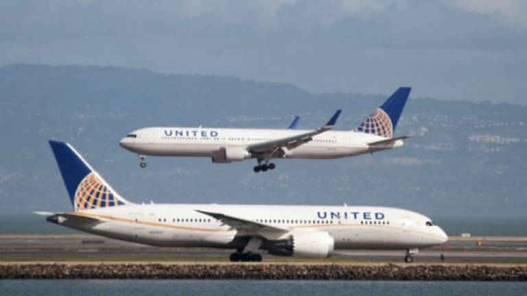 Giant rabbit dies on United Airlines flight