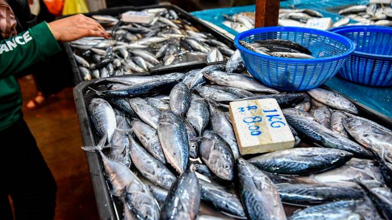 Orang ramai membeli barangan keperluan asas ketika tinjauan fotoBernama di Pasar Chow Kit hari ini- BERNAMA
