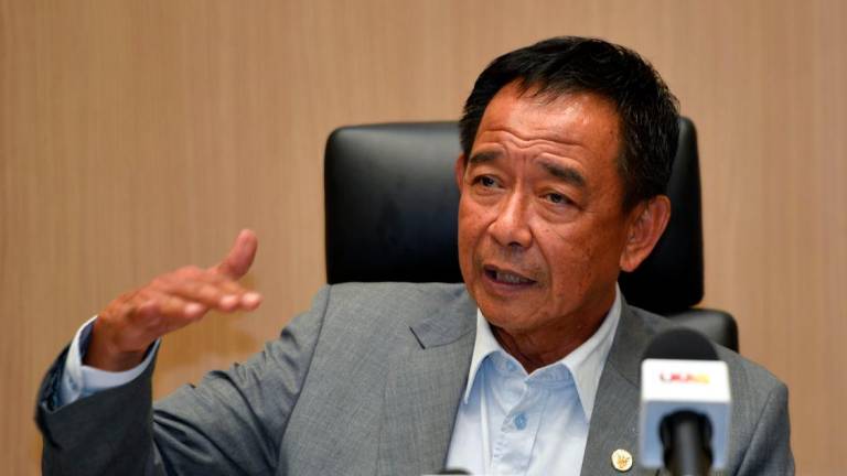 Youth must be nurtured as future leaders, says Sarawak minister