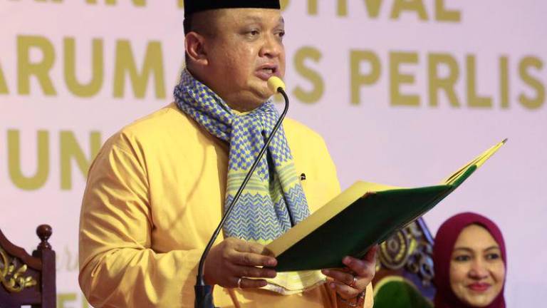 Raja Muda of Perlis Tuanku Syed Faizuddin Putra Jamalullail - Photo by BERNAMA