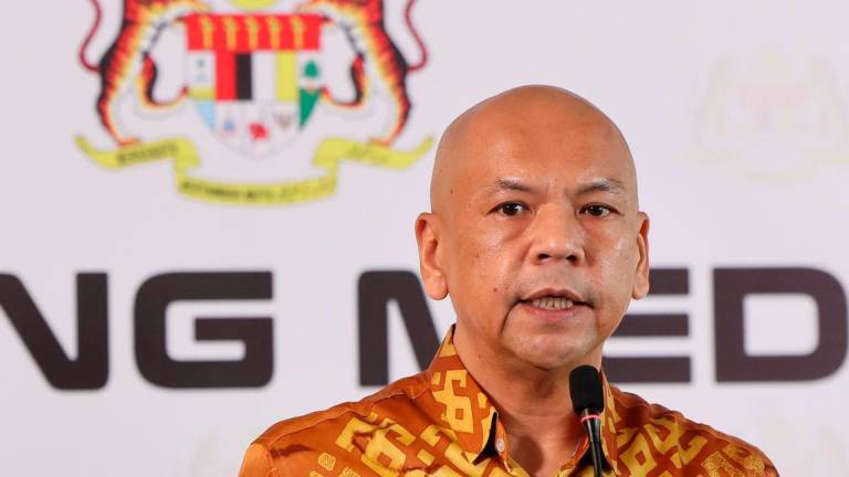 BERNAMApix