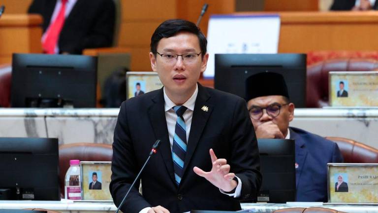 BERNAMAPIX