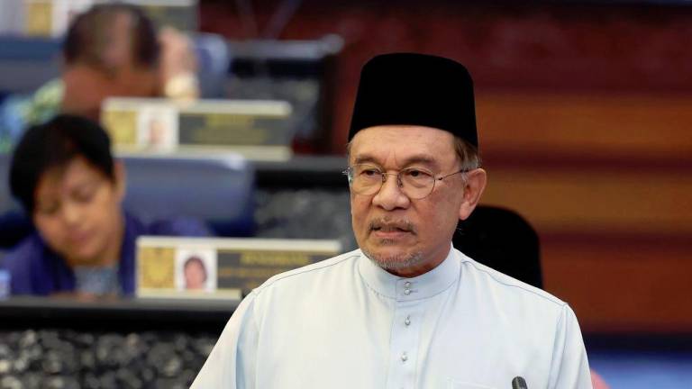 BERNAMApix