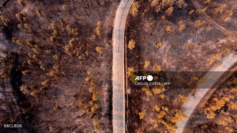 This aerial picture taken on July 30, 2025 shows burned areas following a wildfire in Arouca, northern Portugal. Hundreds of firefighters were battling to contain forest blazes across Portugal that have led to almost the whole country being put on high alert for fires. - CARLOS COSTA / AFP