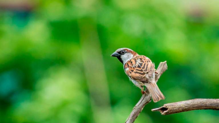 Image for visual purposes - Photo by PEXELS