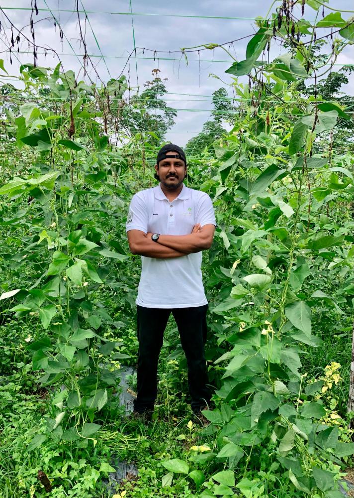Naviin has joined his father to grow vegetables in Kota Tinggi, Johor. – PICTURE COURTESY OF NAVIIN THIAGARAJAN