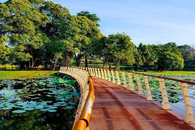 Cyberjaya Lake Garden. – SELANGOR.TRAVELPIC $!Cyberjaya Lake Garden. – SELANGOR.TRAVELPIC