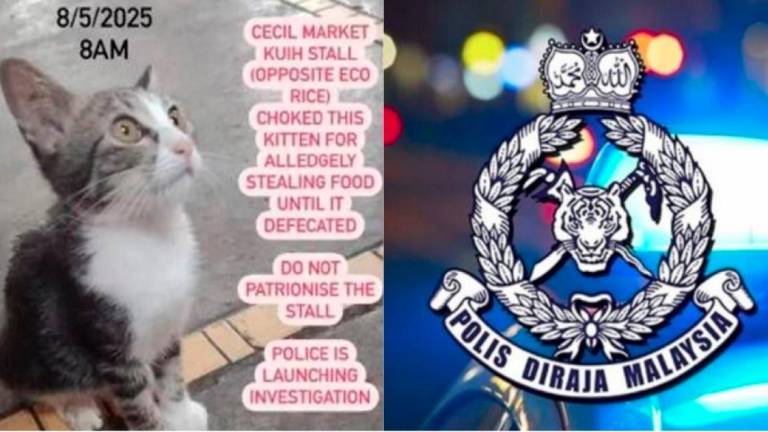 Credit - Social media &amp; BERNAMAPIX