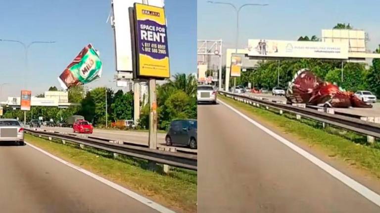 Credit - Malaysia Baru News/FBPIX