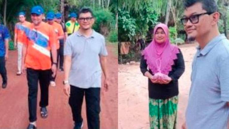 BERNAMAPIX