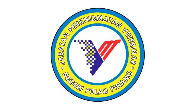 Pix for representational purposes. - DVS Penang / Facebook