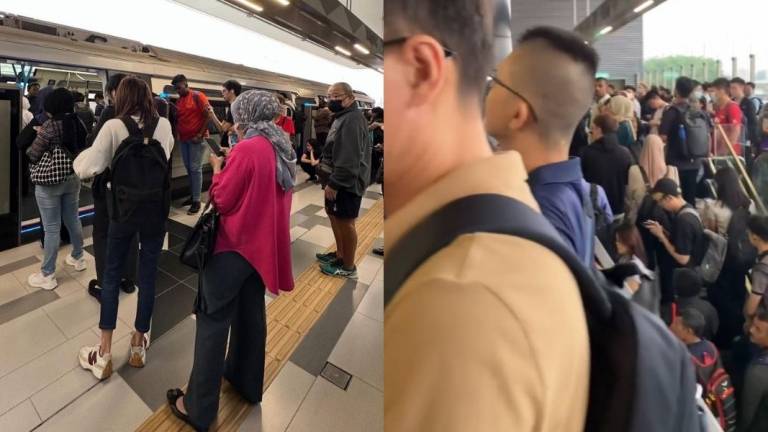 Credit - @muniwahsobri and @luqman_las / Threads