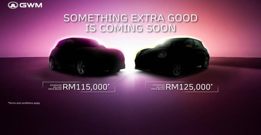 Bookings open for the new Ora Good Cat series