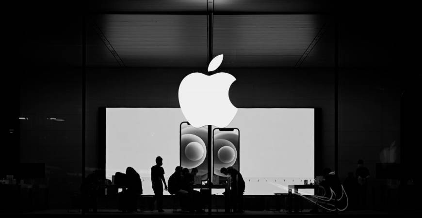 - Unsplash pix