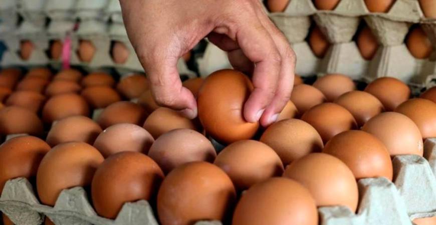 Floating chicken and egg prices will provide further savings of RM2 billion. – Bernama filepic
