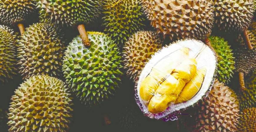 Gambar hiasan - FotoBernama