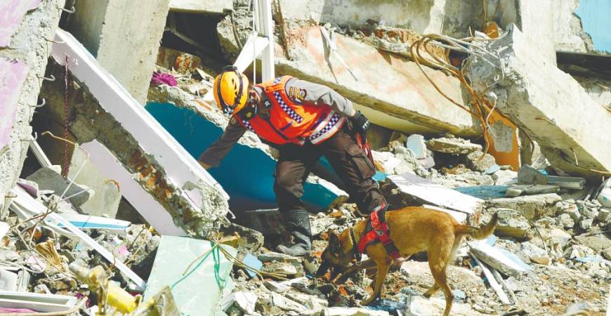 Studies have shown how dogs assist in search-and-rescue missions, detect illnesses and provide emotional support to the vulnerable. – REUTERSPIC