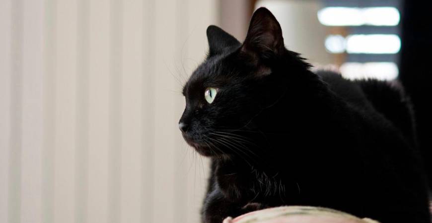 Pix for visual purposes. Image by wirestock on Freepik