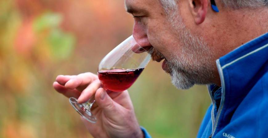 Winemaker Simon Day poses for a photograph with a glass of his ‘English Nouveau’, a type of Beaujolais wine, at Haygrove Evolution’s Sixteen Ridges Winery in Ledbury, west of England, on November 12, 2020. AFP / DANIEL LEAL-OLIVAS