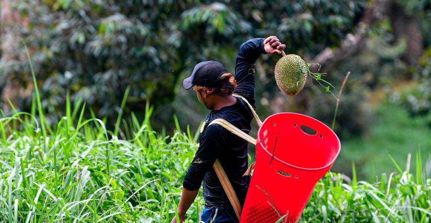 Gambar hiasan - fotoBERNAMA