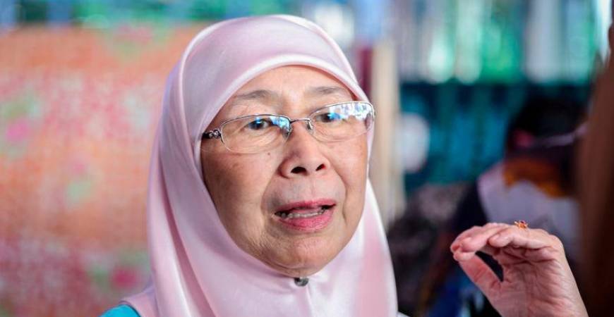 Girl Guides Association Malaysia (PPPM) president Datuk Seri Dr Wan Azizah Wan Ismail - BERNAMApix