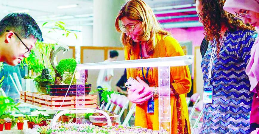 WED involved students in many projects which created awareness on sustainable actions.