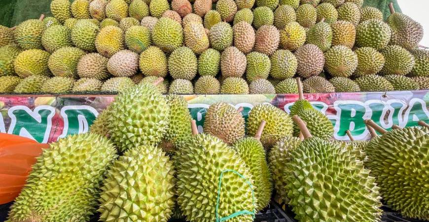 For visual purposes only: Durian - ADIB RAWI YAHYA / THESUN
